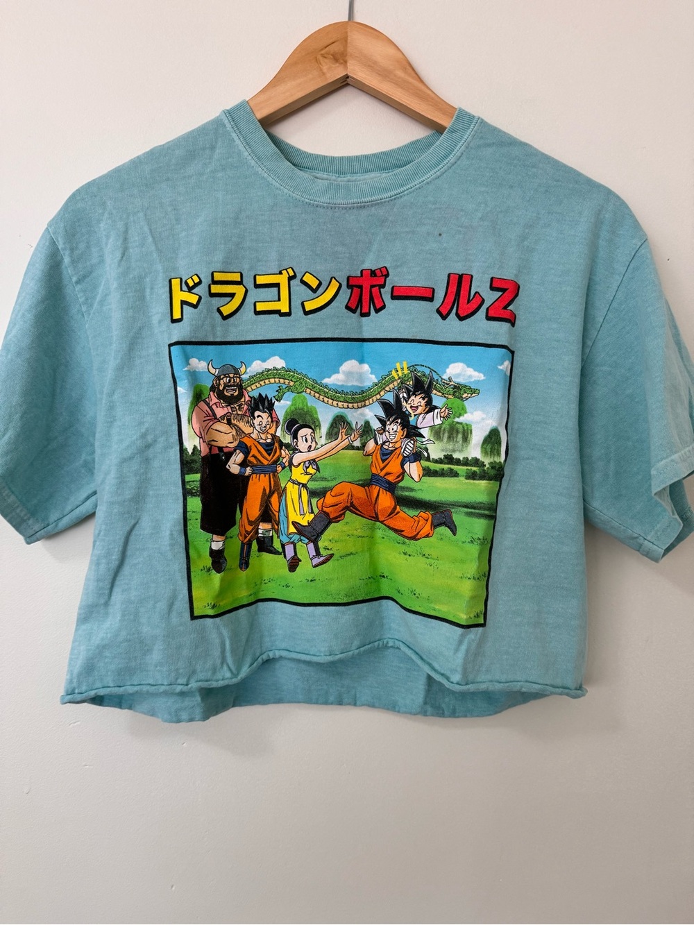 Dragon Ball Z Graphic Cropped T-Shirt Size M Blue Anime Tee